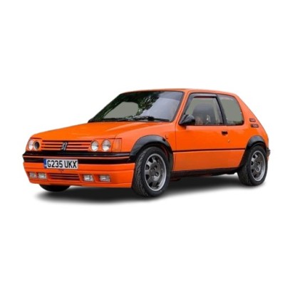 Peugeot 205 S2