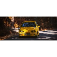 Fiat Punto 1993- (176)