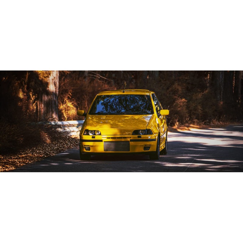 Fiat Punto 1993- (176)