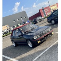 Peugeot 205 S2
