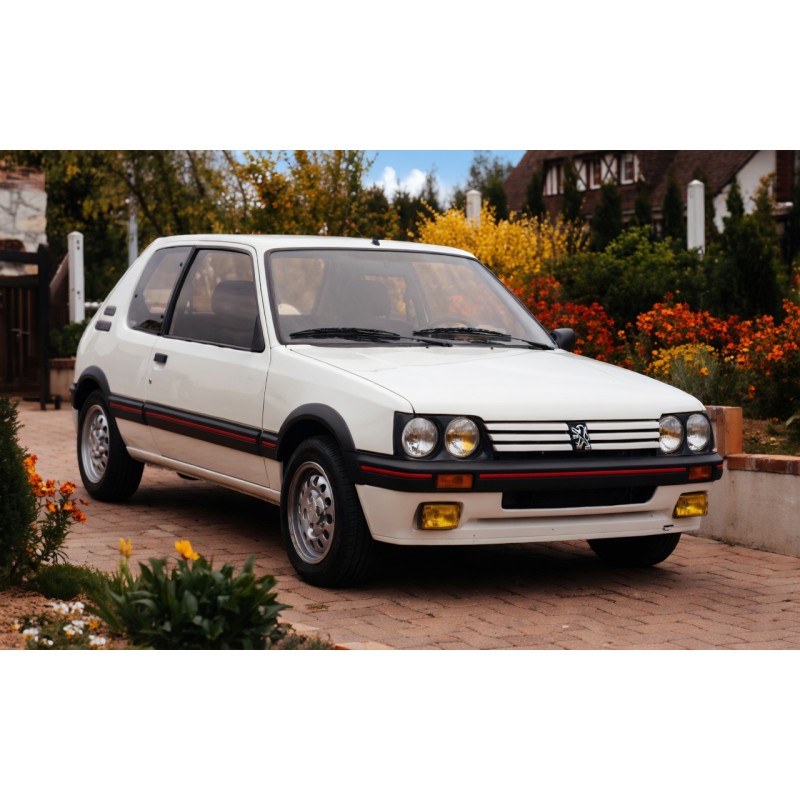 Peugeot 205 Ph1