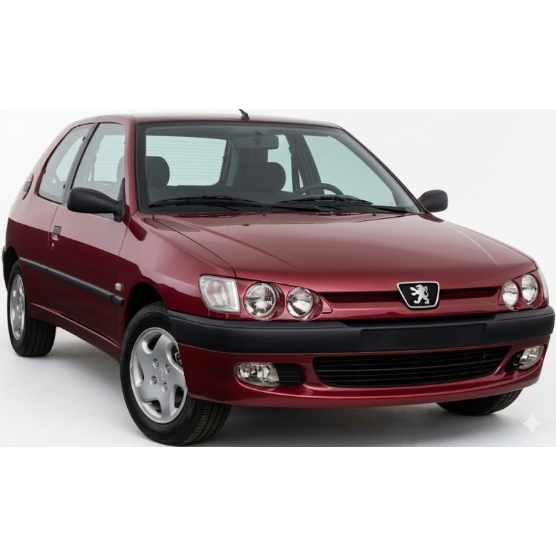 Peugeot 306 N5