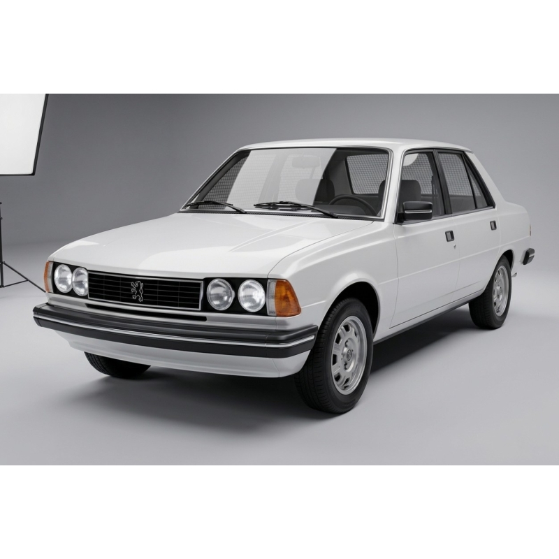 Peugeot 305