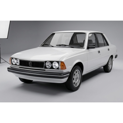 Peugeot 305