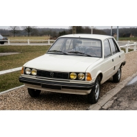 Peugeot 305