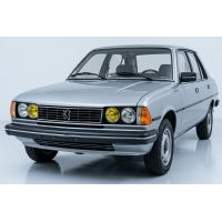 Peugeot 305
