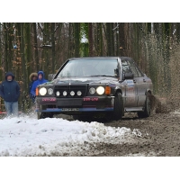 Mercedes W201