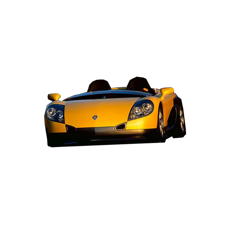 Spare Parts Renault Spider
